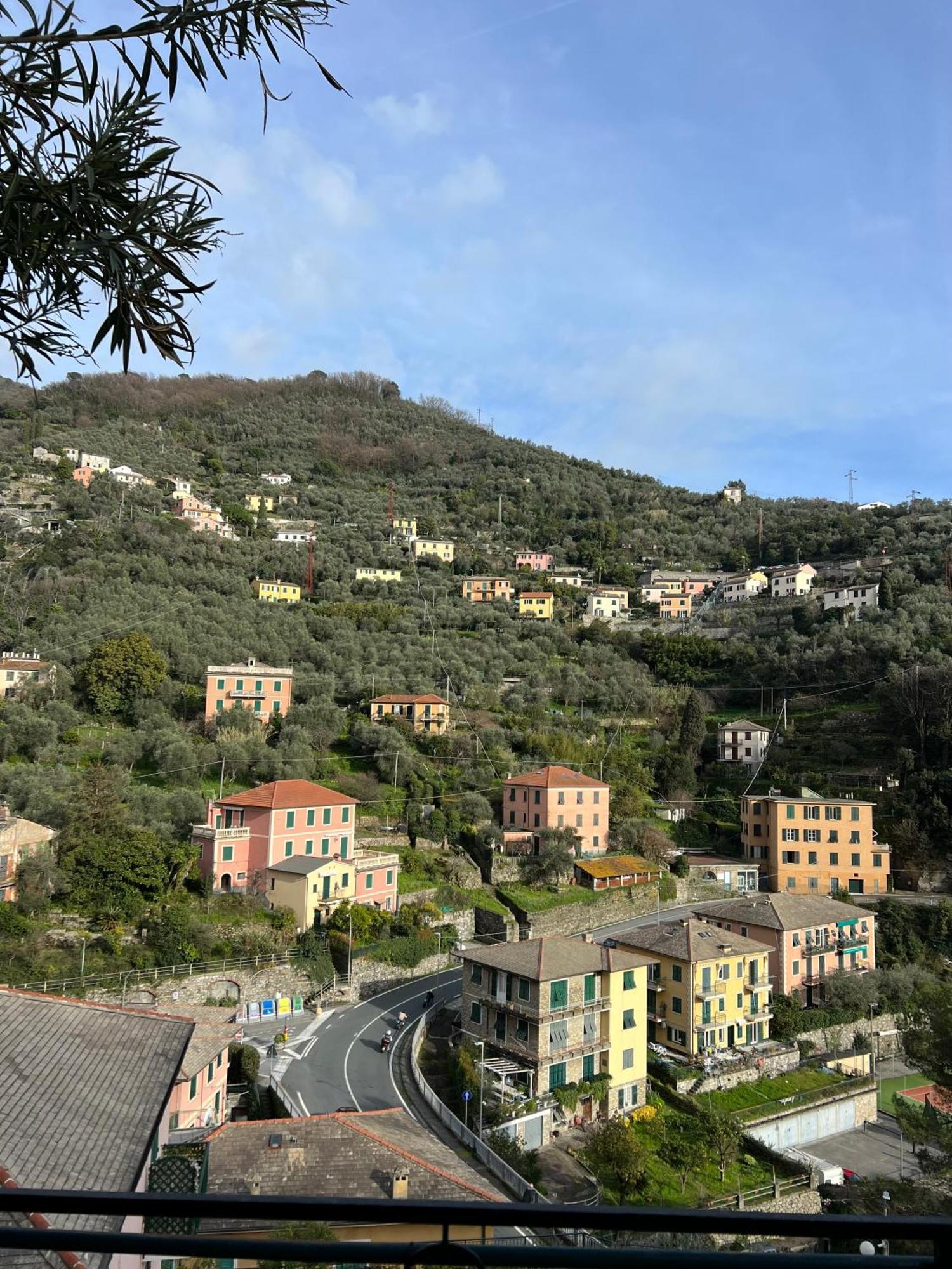 Cozy Flat Near The Zoagli